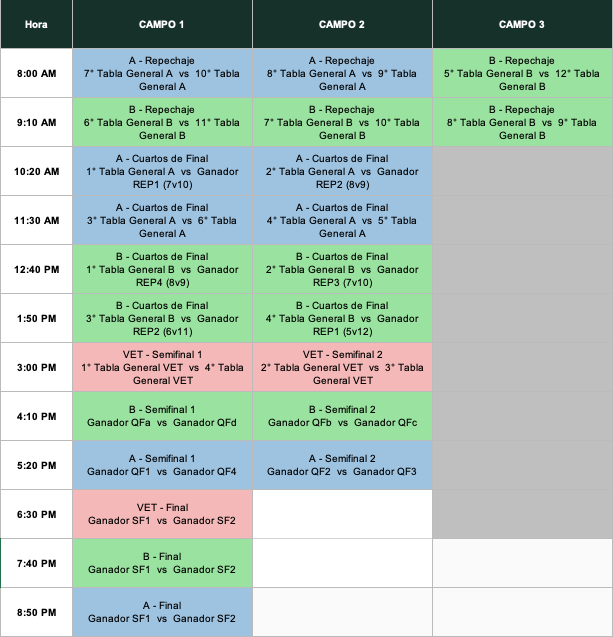 Liguilla Domingo